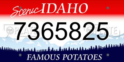 7365825 Idaho License Plate