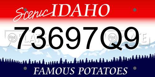 73697Q9 Idaho License Plate