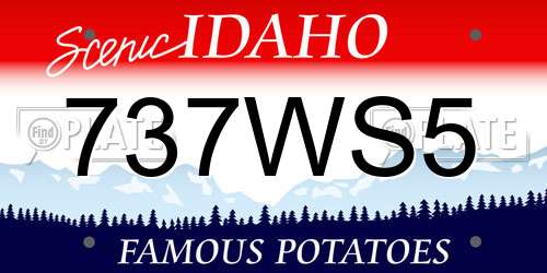 737WS5 Idaho License Plate