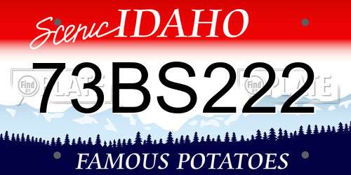 73BS222 Idaho License Plate