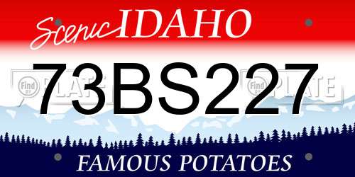 73BS227 Idaho License Plate