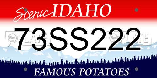 73SS222 Idaho License Plate