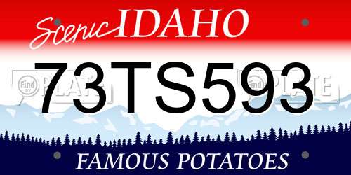 73TS593 Idaho License Plate