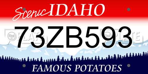 73ZB593 Idaho License Plate