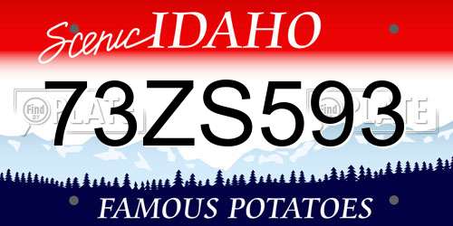 73ZS593 Idaho License Plate