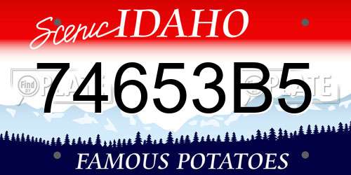 74653B5 Idaho License Plate