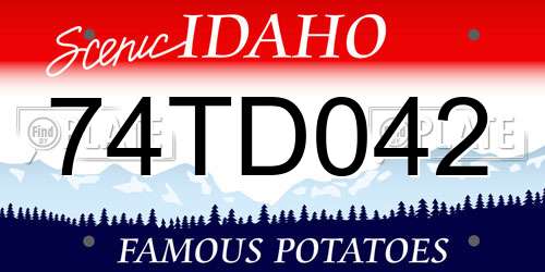 74TD042 Idaho License Plate