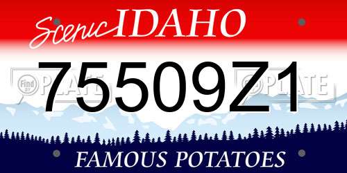 75509Z1 Idaho License Plate
