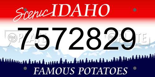 7572829 Idaho License Plate