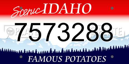 7573288 Idaho License Plate