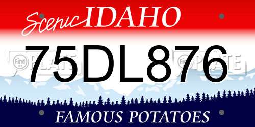 75DL876 Idaho License Plate