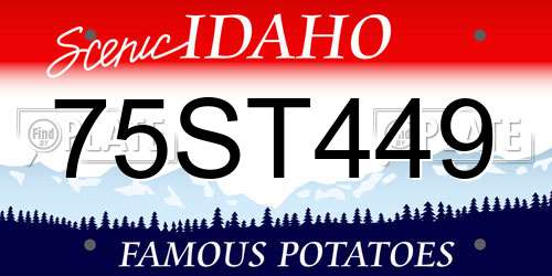 75ST449 Idaho License Plate