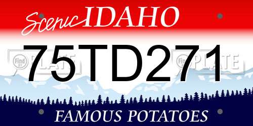 75TD271 Idaho License Plate