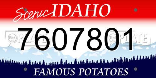 7607801 Idaho License Plate