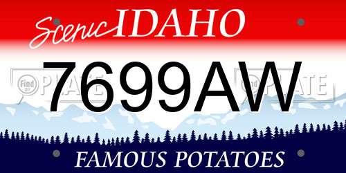 7699AW Idaho License Plate