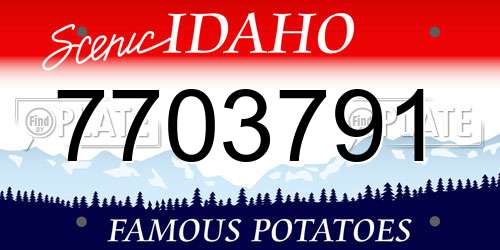7703791 Idaho License Plate