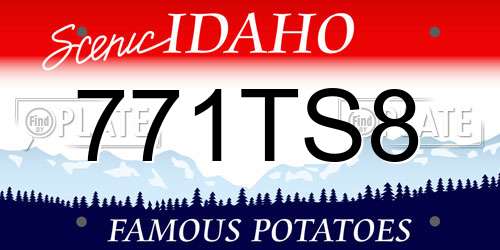 771TS8 Idaho License Plate