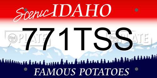 771TSS Idaho License Plate