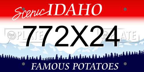 772X24 Idaho License Plate