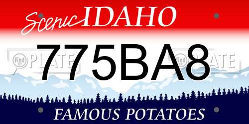 775BA8 Idaho License Plate