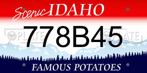 778B45 Idaho License Plate