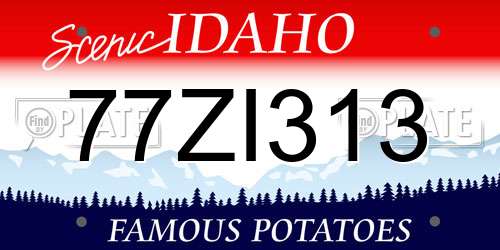 77ZI313 Idaho License Plate
