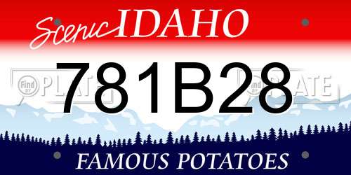 781B28 Idaho License Plate