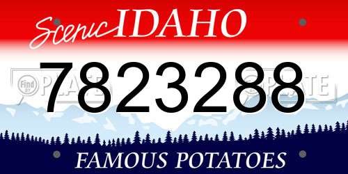 7823288 Idaho License Plate
