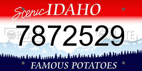 7872529 Idaho License Plate
