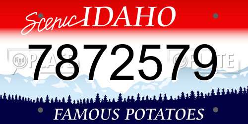 7872579 Idaho License Plate
