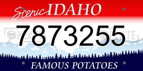 7873255 Idaho License Plate
