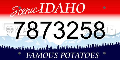 7873258 Idaho License Plate