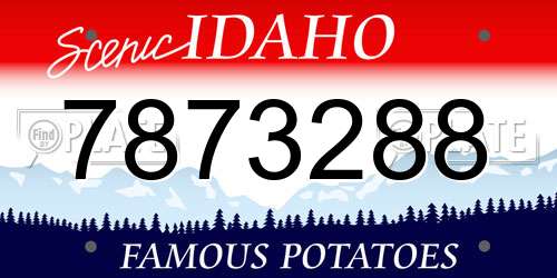 7873288 Idaho License Plate