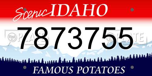 7873755 Idaho License Plate
