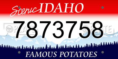 7873758 Idaho License Plate