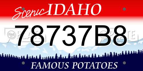 78737B8 Idaho License Plate
