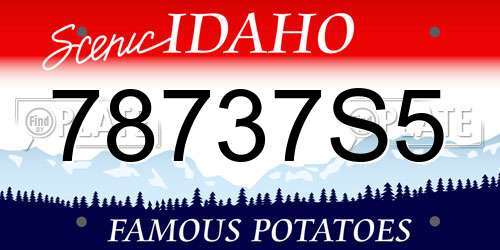 78737S5 Idaho License Plate