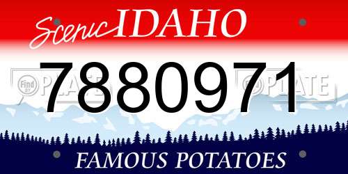7880971 Idaho License Plate