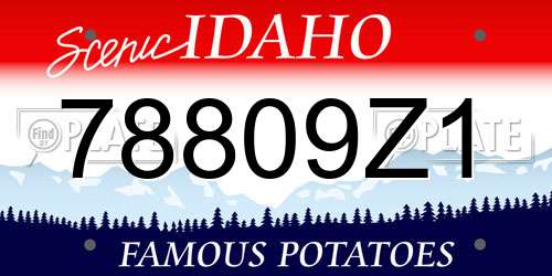 78809Z1 Idaho License Plate