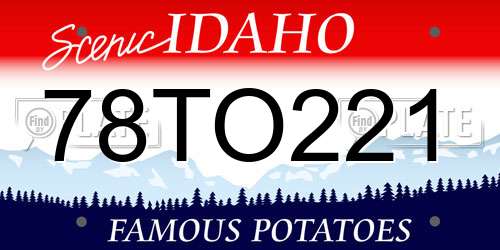78TO221 Idaho License Plate