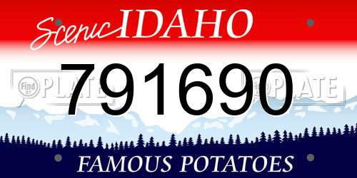 791690 Idaho License Plate
