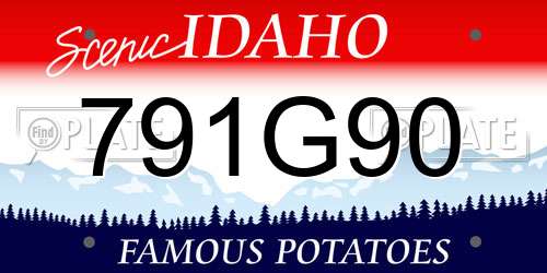 791G90 Idaho License Plate