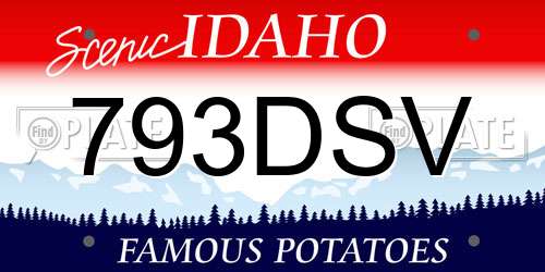 793DSV Idaho License Plate