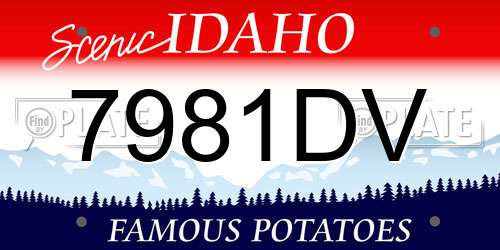7981DV Idaho License Plate