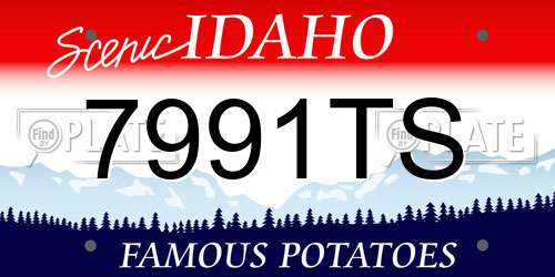 7991TS Idaho License Plate