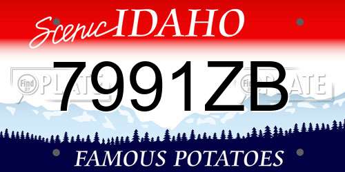 7991ZB Idaho License Plate