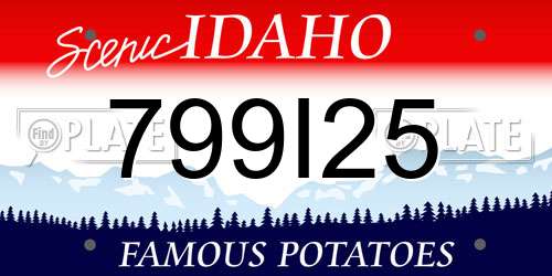 799I25 Idaho License Plate