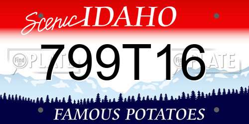 799T16 Idaho License Plate