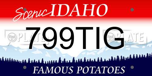 799TIG Idaho License Plate