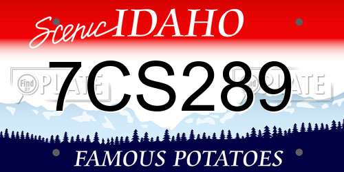7CS289 Idaho License Plate